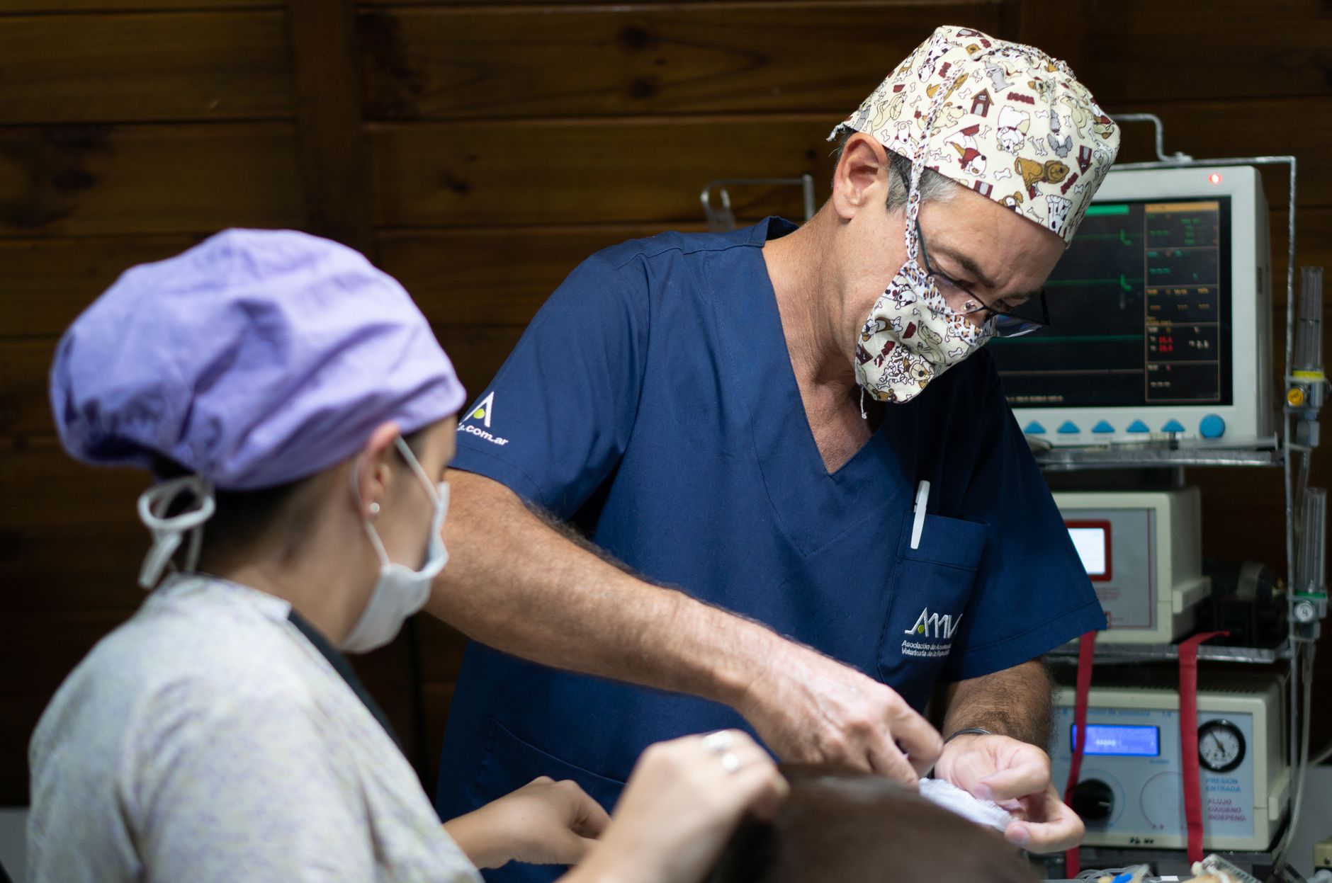 A veterinary team working together