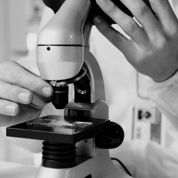 A veterinary technician running lab tests in the in-house laboratory
