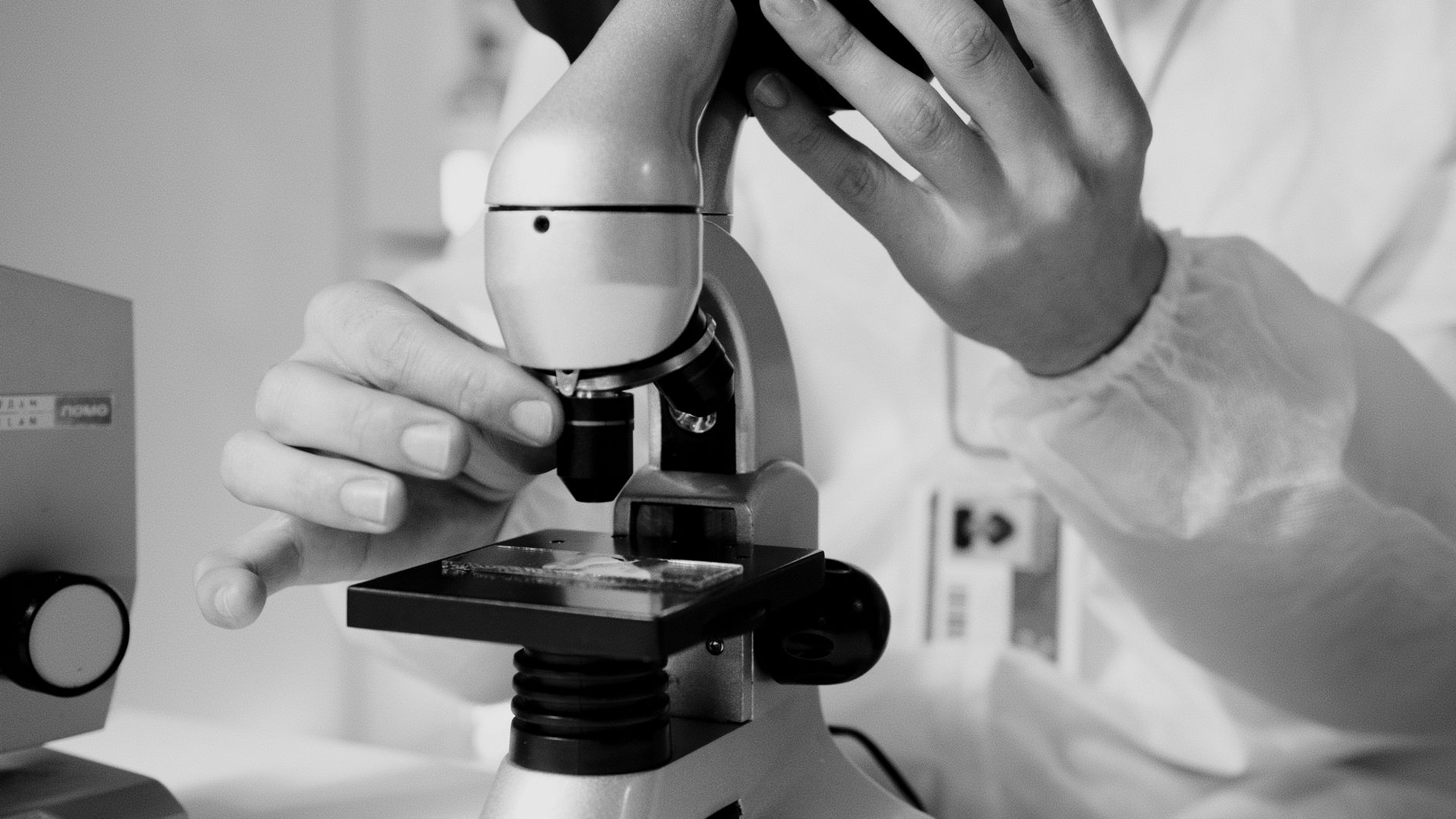 A veterinary technician running lab tests in the in-house laboratory